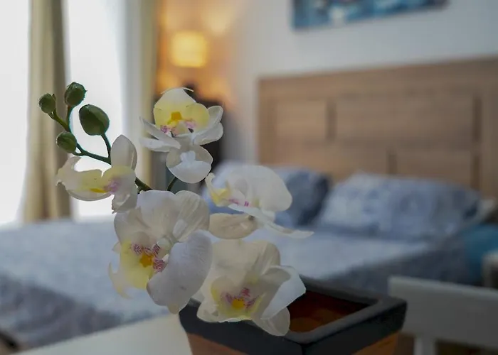 Vv 402 Vista Mar Con Balcón * Las Palmas de Gran Canaria